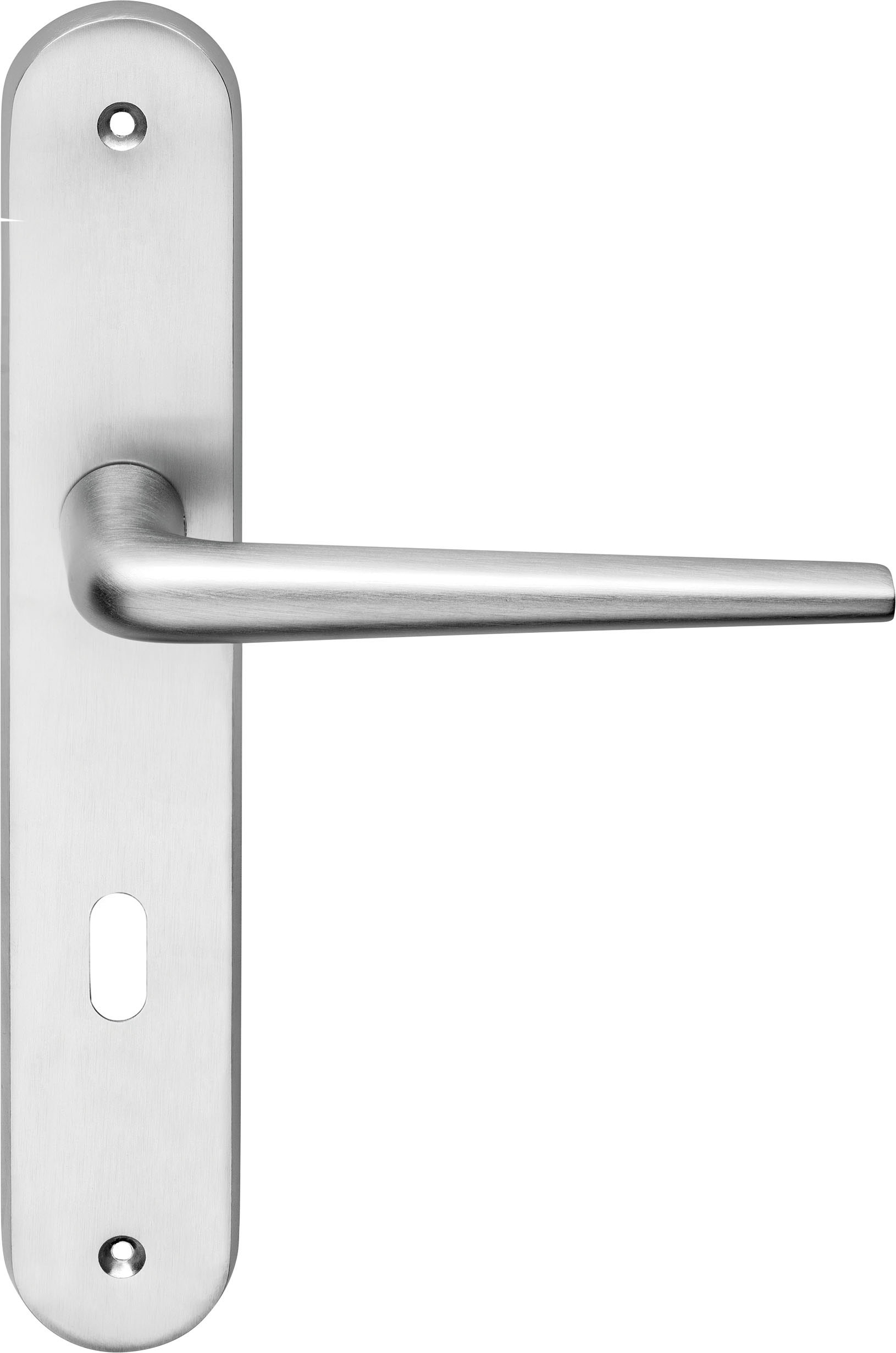 R18 Türgriff matt verchromt auf Langschild